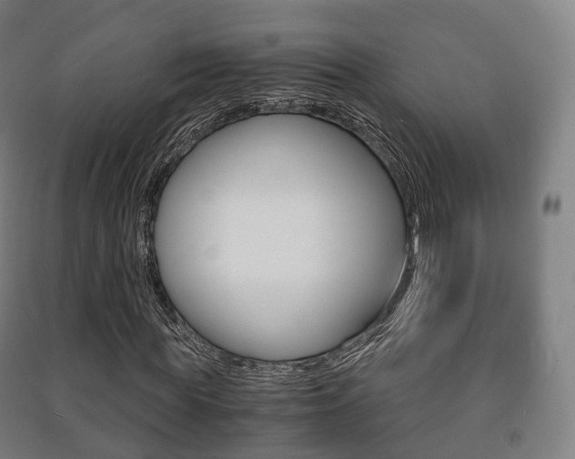 X0000091450819200708161045