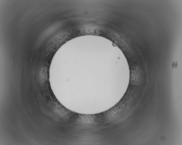 X0000091450820200708161045