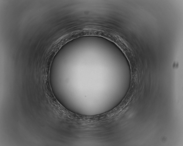 X0000091450821200708161045