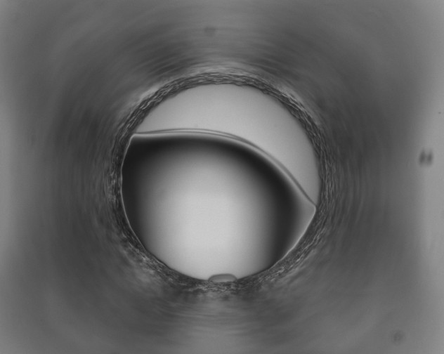 X0000091450822200708161045