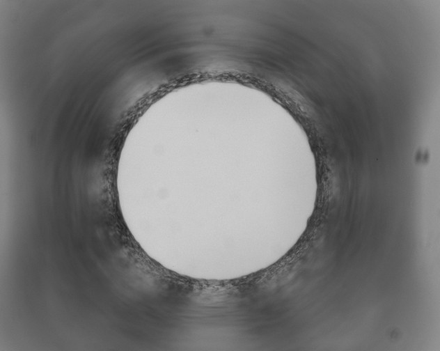 X0000091450824200708161045
