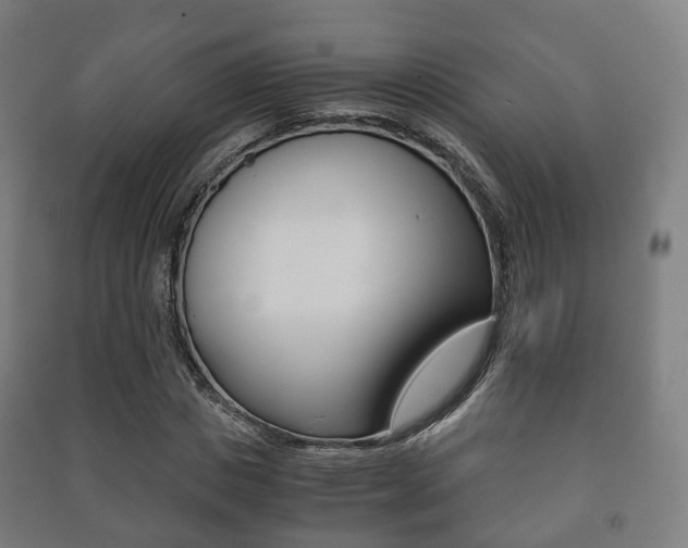 X0000091450825200708161045