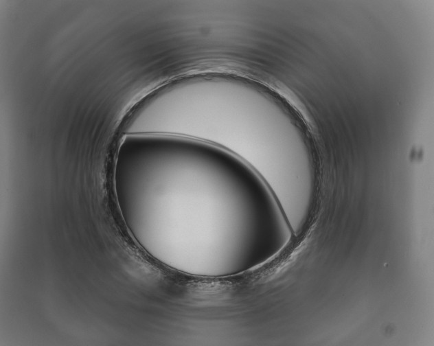 X0000091450826200708161045