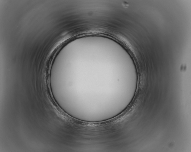 X0000091450827200708161045