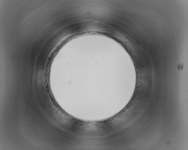 X0000091450828200708161045
