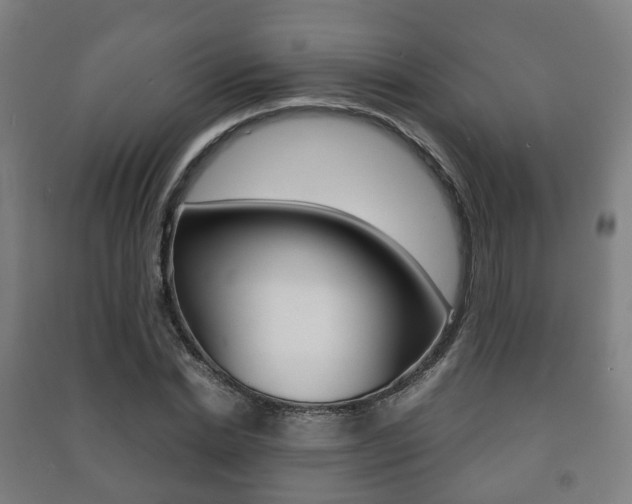 X0000091450830200708161045