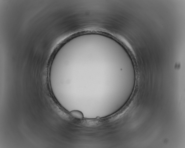 X0000091450831200708161045