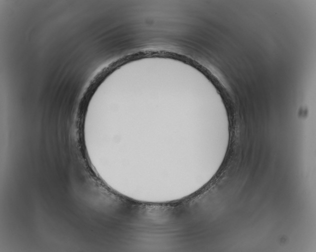 X0000091450832200708161045