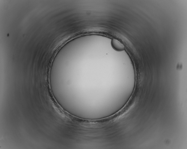 X0000091450833200708161045