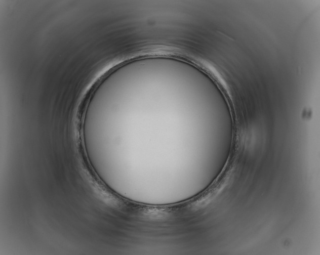 X0000091450835200708161045