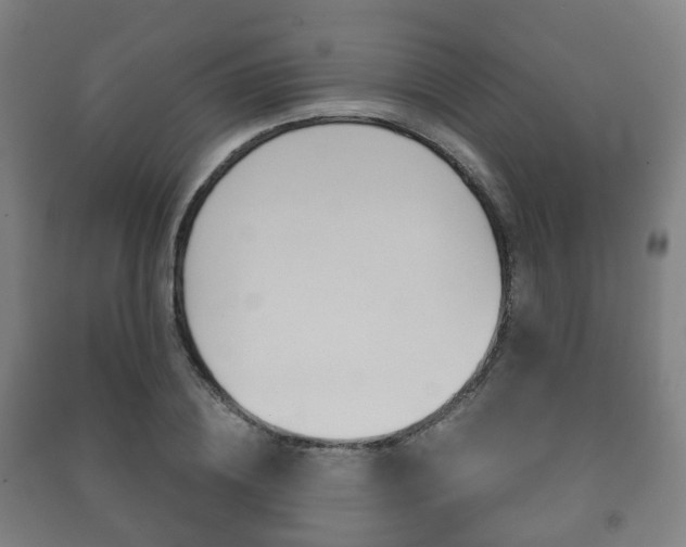 X0000091450836200708161045