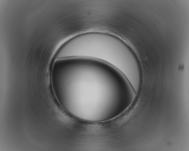 X0000091450838200708161045