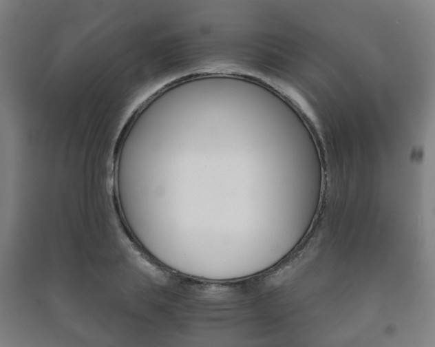 X0000091450839200708161045
