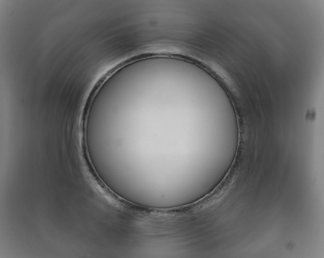 X0000091450840200708161045