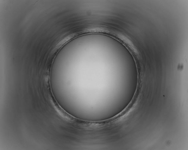 X0000091450841200708161045