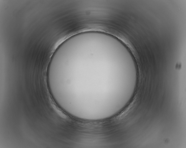 X0000091450842200708161045