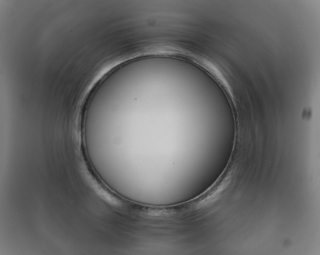 X0000091450843200708161045