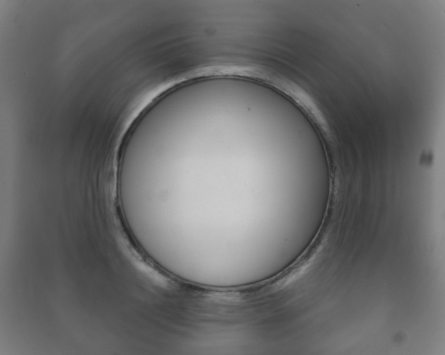 X0000091450844200708161045
