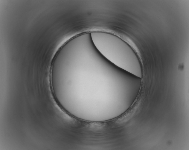X0000091450847200708161046