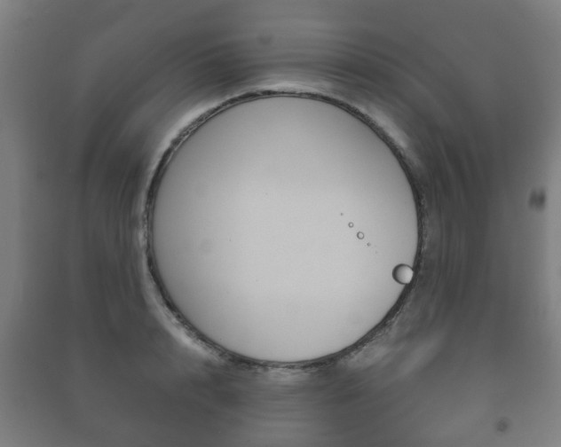 X0000091450848200708161046