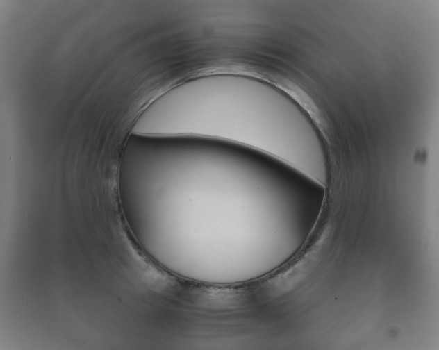 X0000091450849200708161046