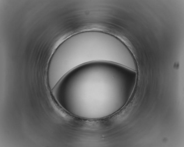 X0000091450850200708161046