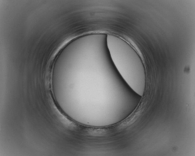 X0000091450851200708161046