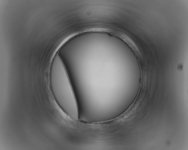 X0000091450852200708161046