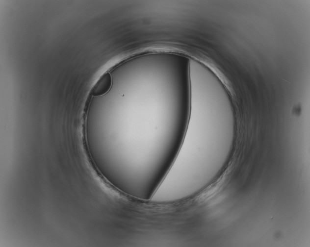 X0000091450853200708161046