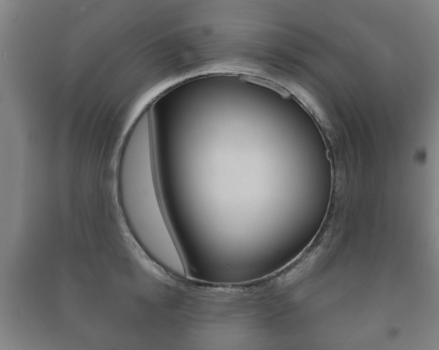 X0000091450854200708161046