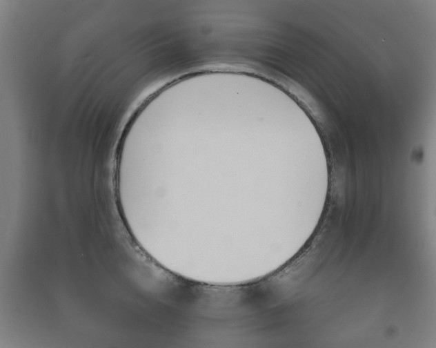 X0000091450856200708161046