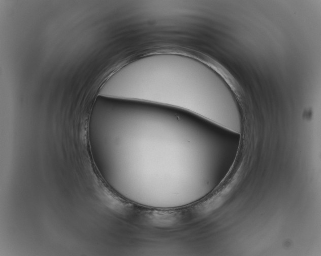 X0000091450857200708161046