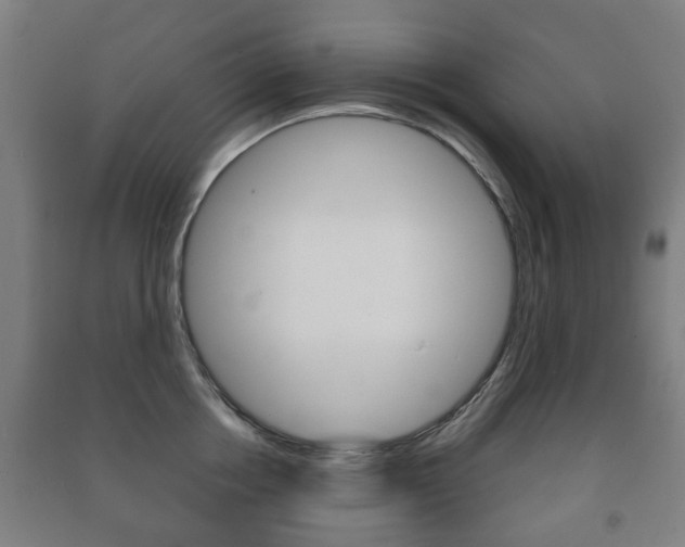 X0000091450858200708161046