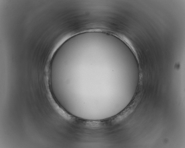 X0000091450859200708161046