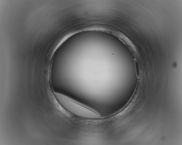 X0000091450860200708161046