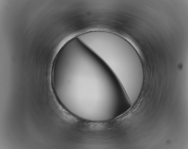 X0000091450861200708161046