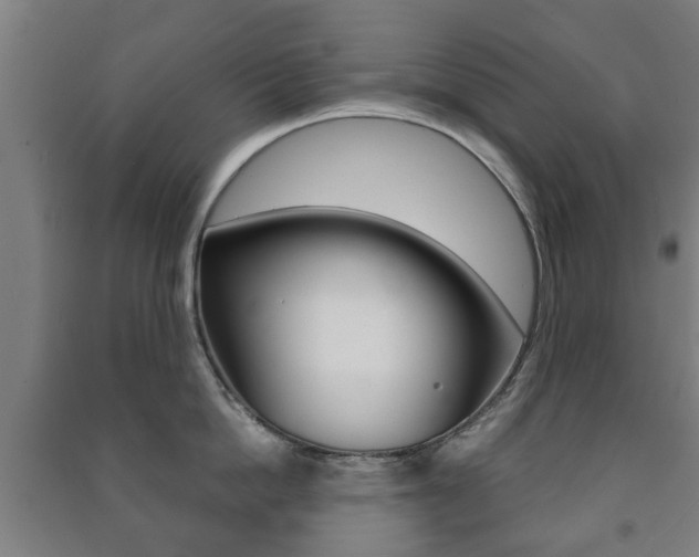 X0000091450862200708161046