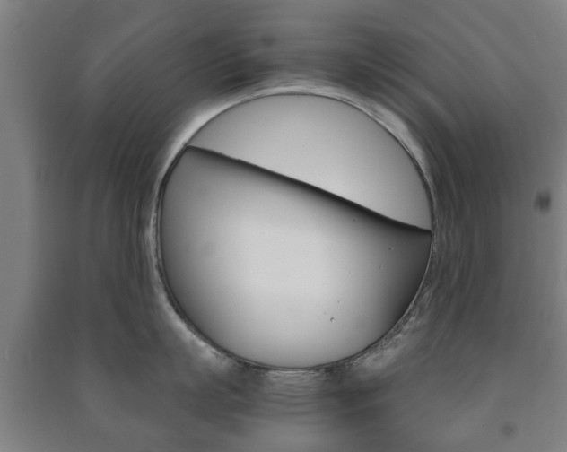 X0000091450863200708161046