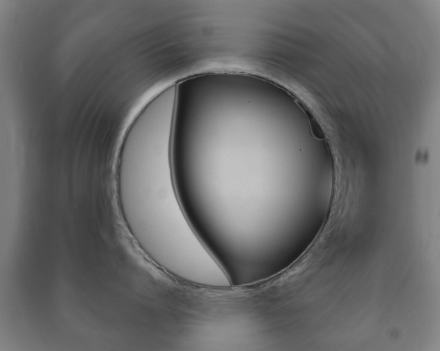 X0000091450864200708161046