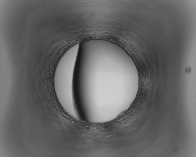 X0000091450865200708161045