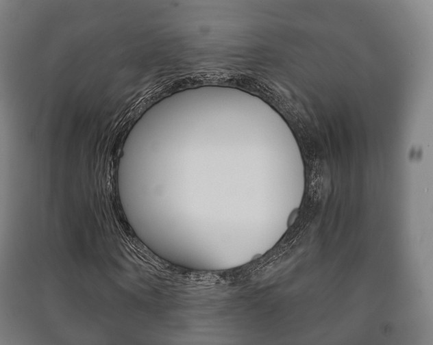 X0000091450866200708161045