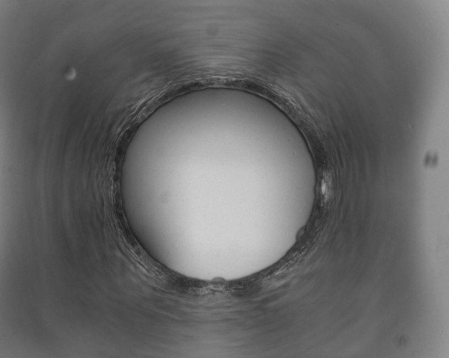 X0000091450867200708161045