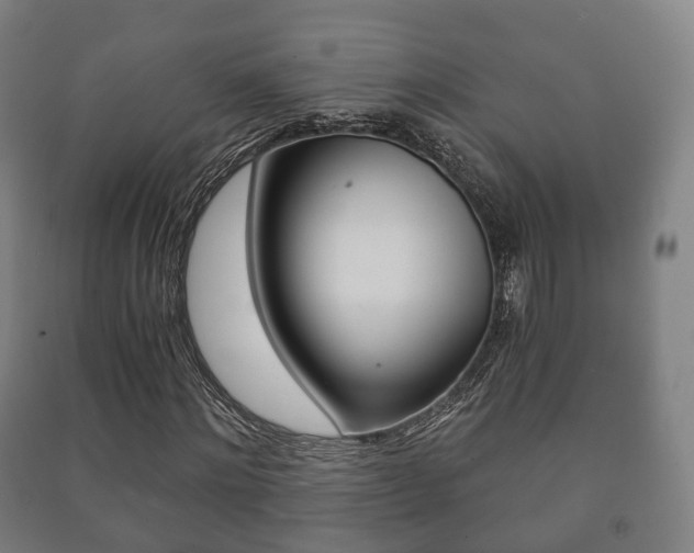 X0000091450868200708161045