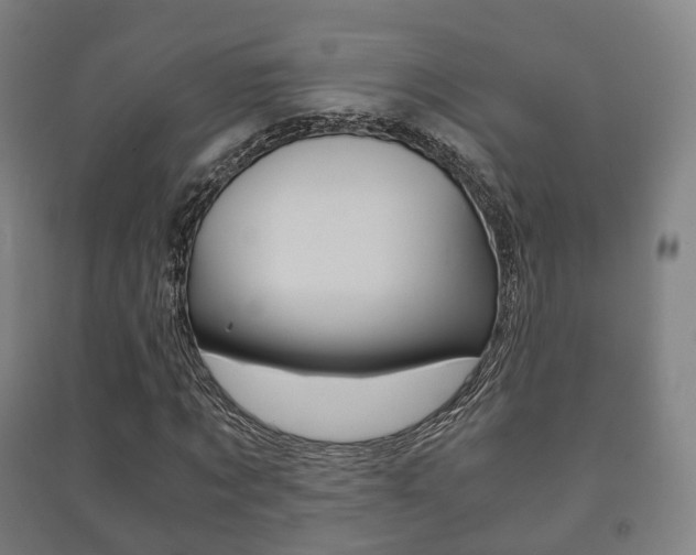 X0000091450869200708161045