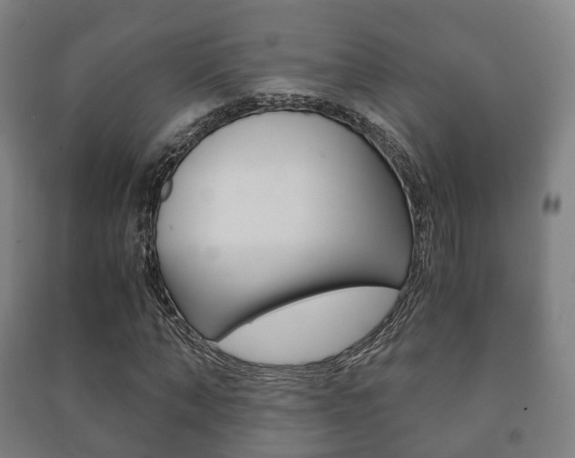 X0000091450870200708161045