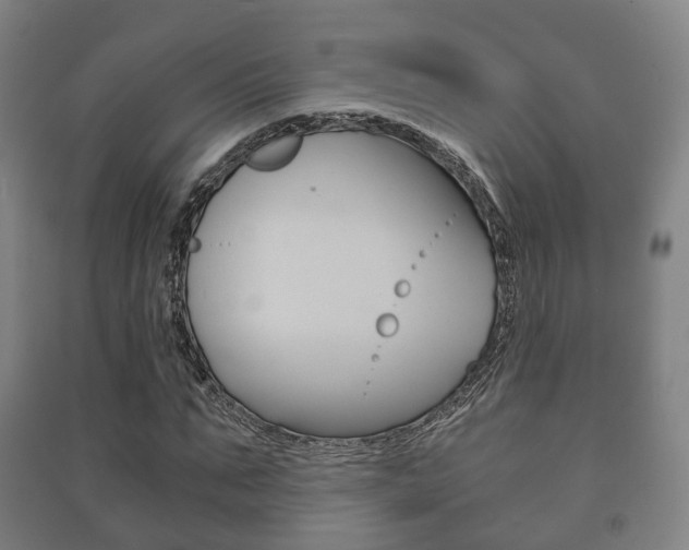 X0000091450871200708161045