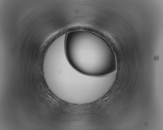 X0000091450872200708161045