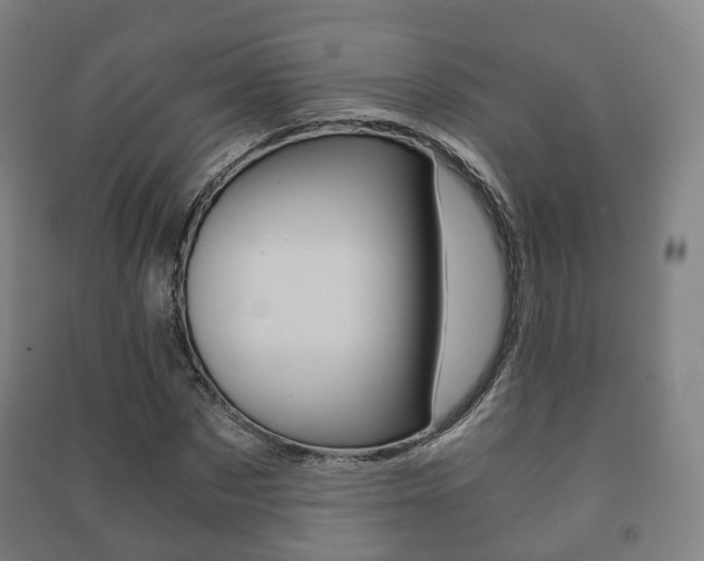 X0000091450873200708161045