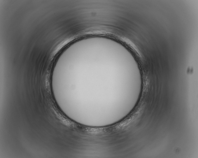 X0000091450874200708161045
