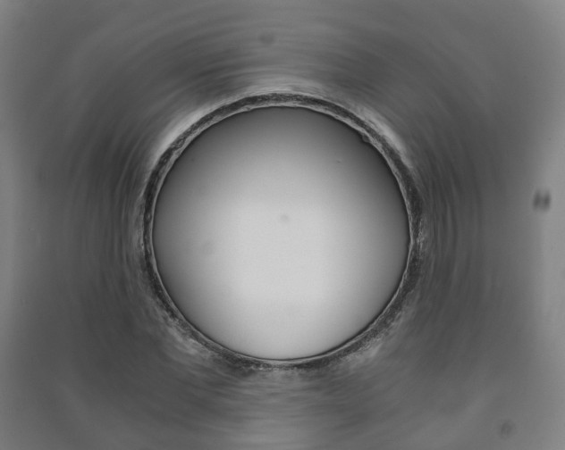 X0000091450877200708161045